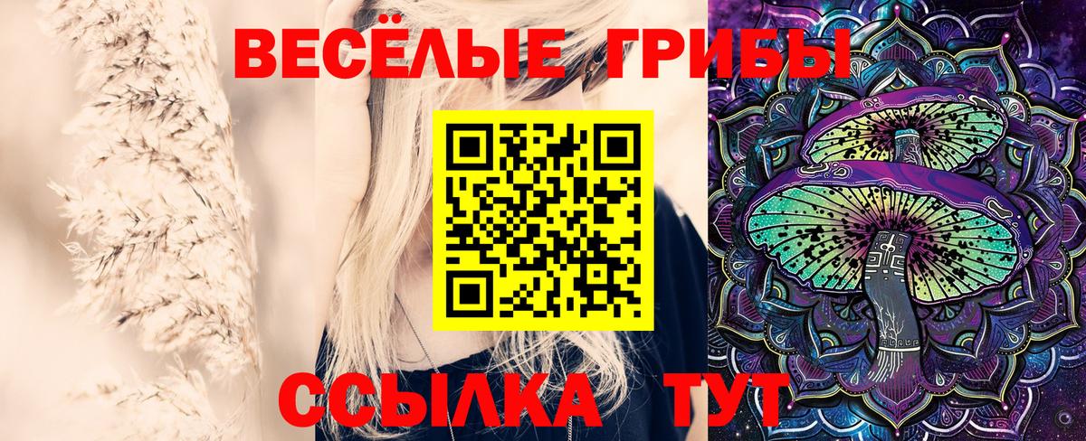 Псилоцибиновые грибы Psilocybe Лянтор
