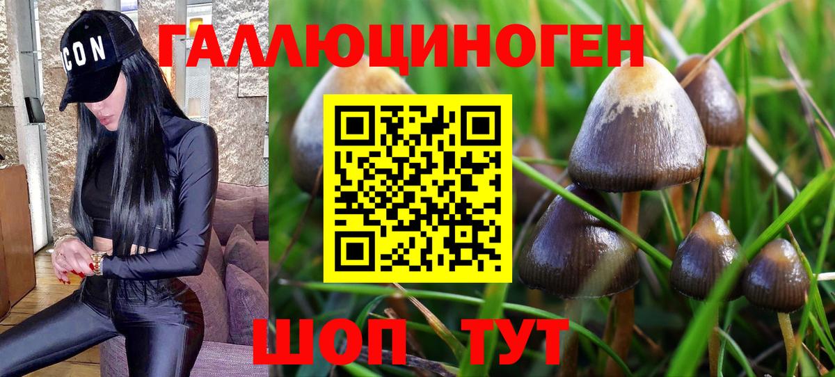 Лянтор  Псилоцибиновые грибы MAGIC MUSHROOMS  Вход с VPN 